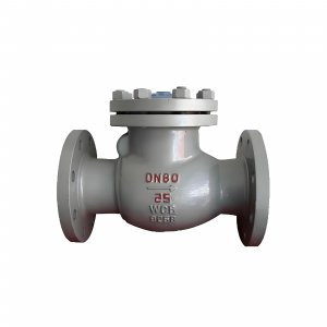 DN50 PN25 介質(zhì)：甲胺，溫度：80℃止回閥